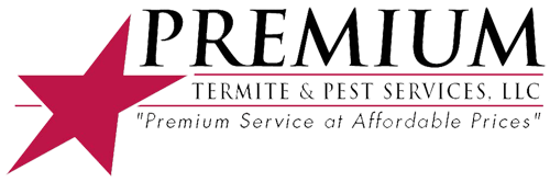 Premium Termite & Pest Services